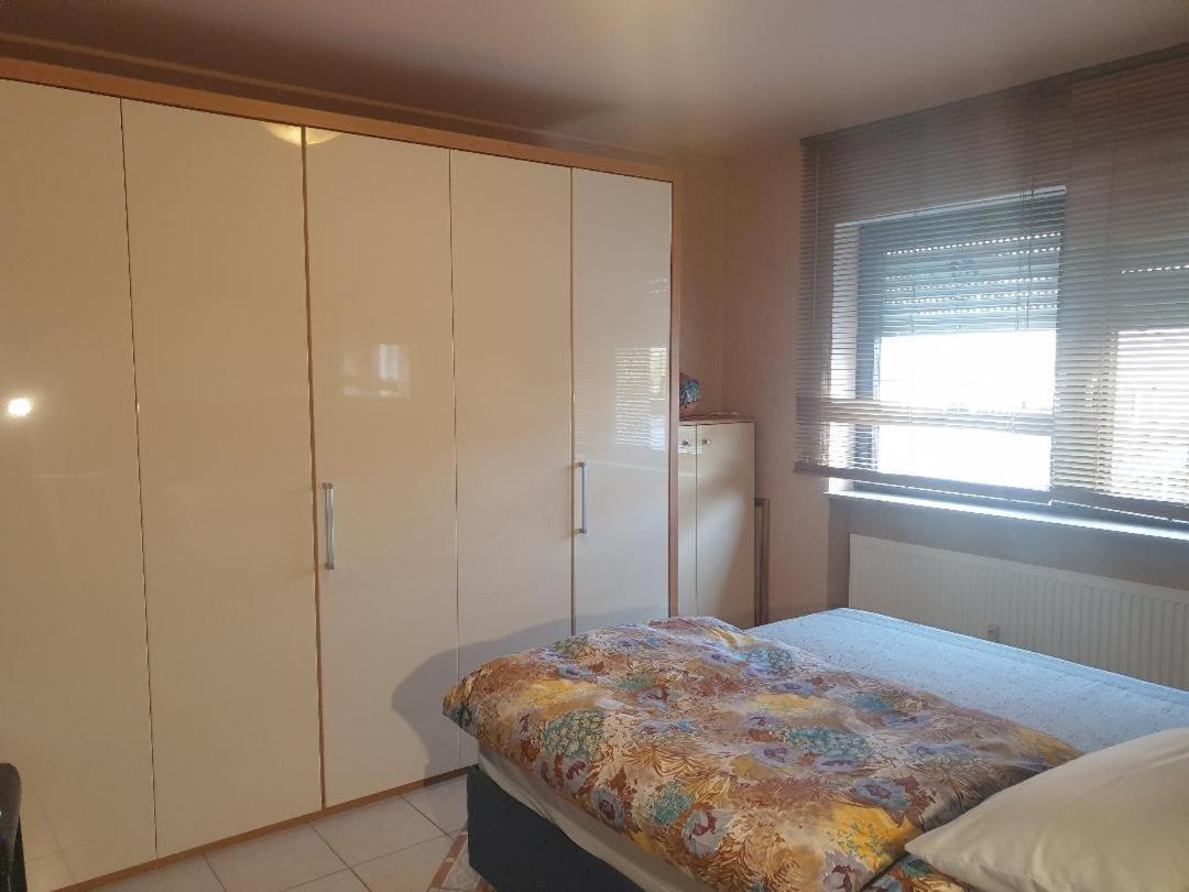 Rose'S Ferienwohnung Freigericht 외부 사진